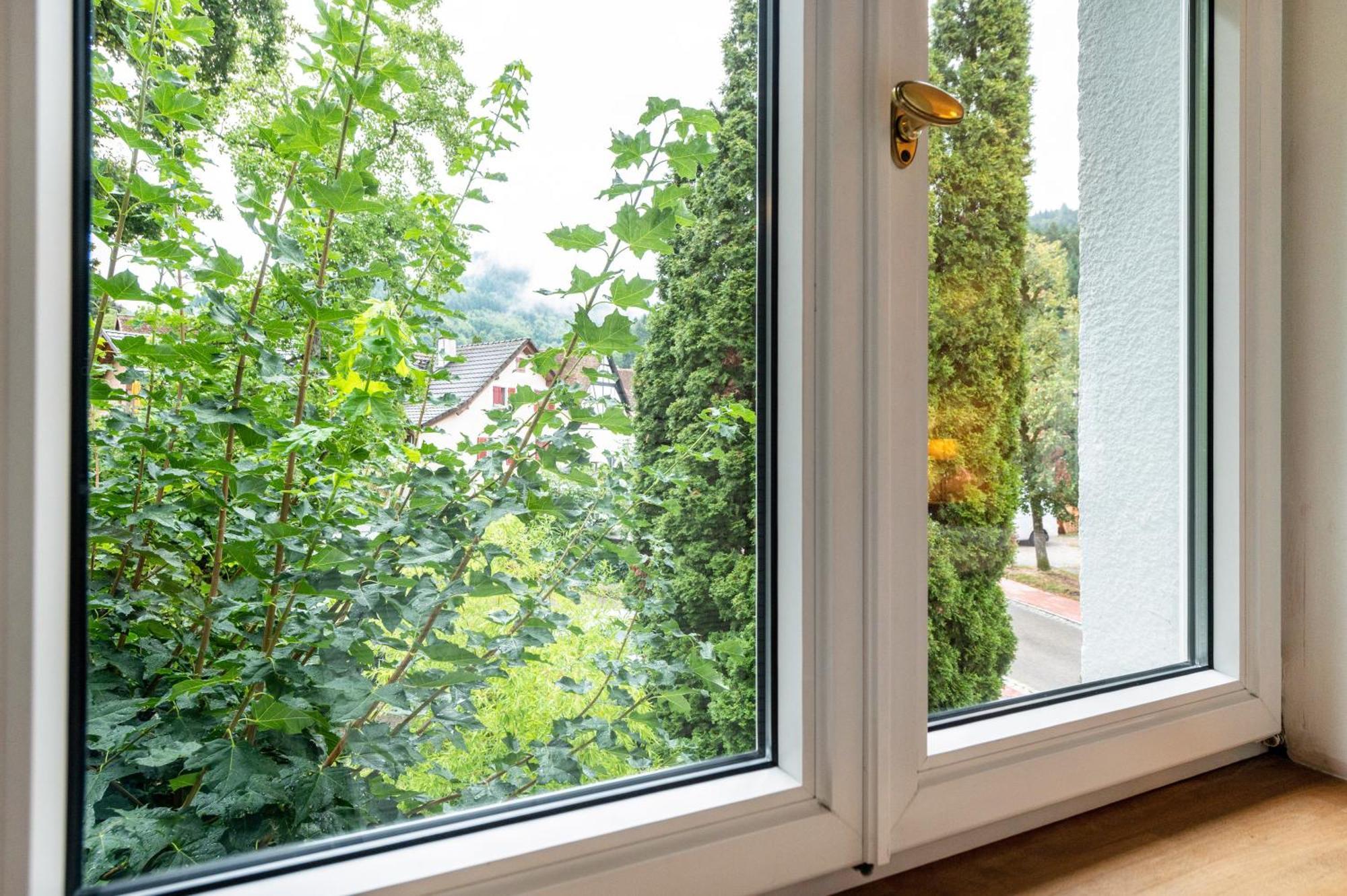Appartement Waldhorn Badenweiler Eksteriør billede